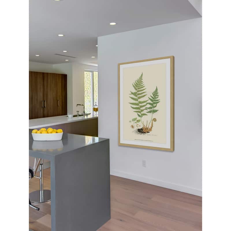 Marmont Hill - 'Curtis Ferns II' Framed Painting Print - Multi-Color