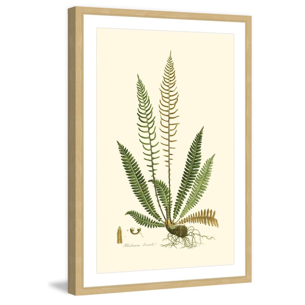 Marmont Hill - 'Curtis Ferns III' Framed Painting Print - Multi-Color