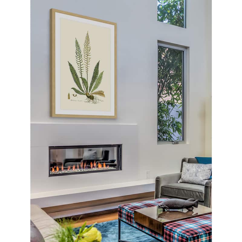 Marmont Hill - 'Curtis Ferns III' Framed Painting Print - Multi-Color