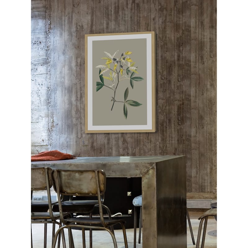 Marmont Hill - 'Botanical Cabinet VI' Framed Painting Print - Multi-Color