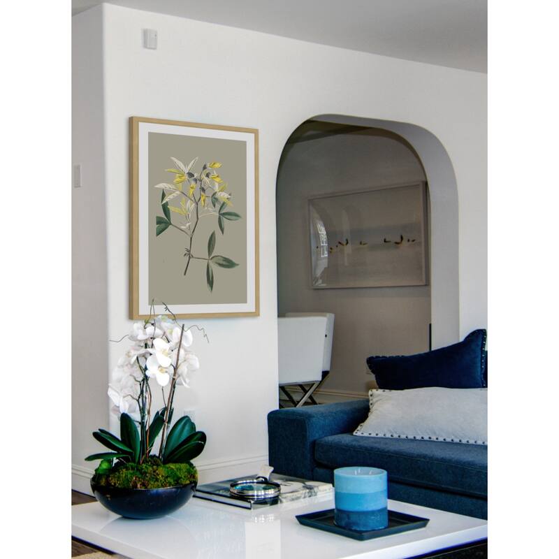 Marmont Hill - 'Botanical Cabinet VI' Framed Painting Print - Multi-Color