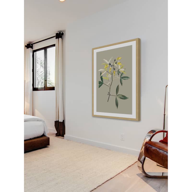 Marmont Hill - 'Botanical Cabinet VI' Framed Painting Print - Multi-Color