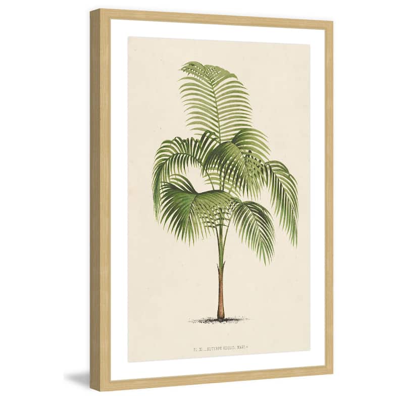 Marmont Hill - 'Les Palmiers I' Framed Painting Print - Multi-Color
