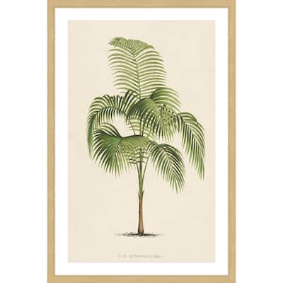 Marmont Hill - 'Les Palmiers I' Framed Painting Print - Multi-Color