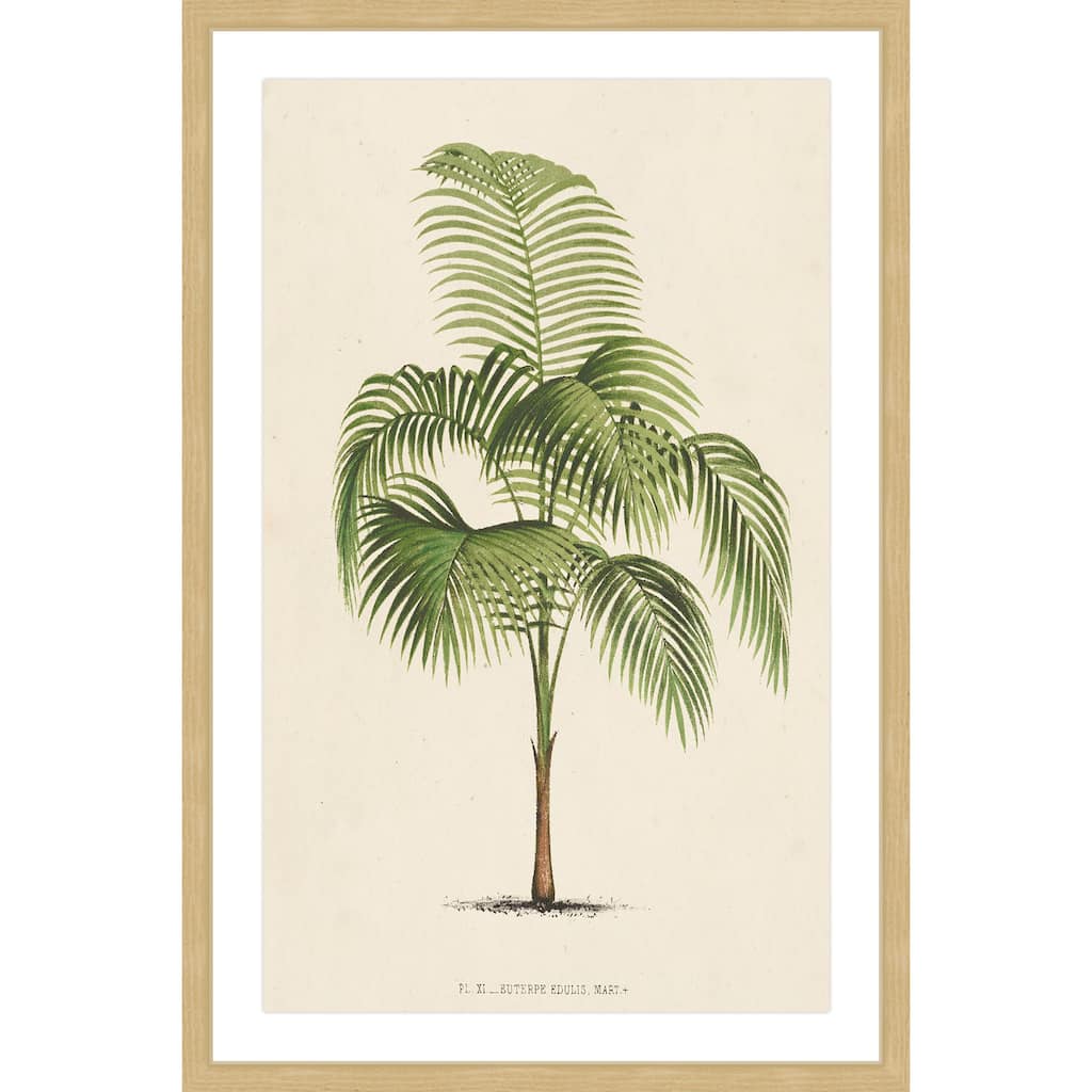 Marmont Hill - 'Les Palmiers I' Framed Painting Print - Multi-Color