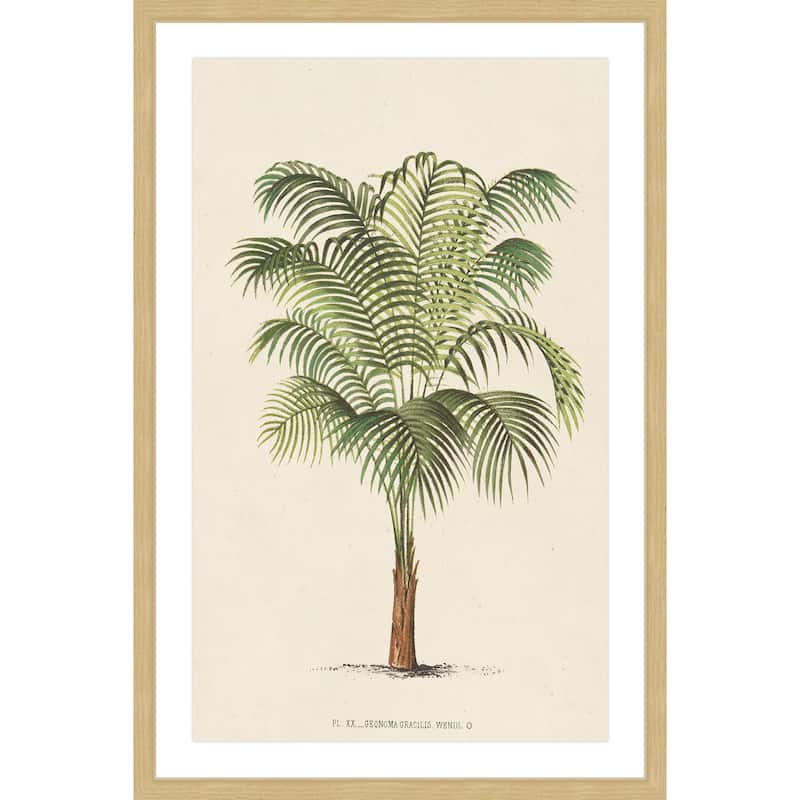 Marmont Hill - 'Les Palmiers II' Framed Painting Print - Multi-Color