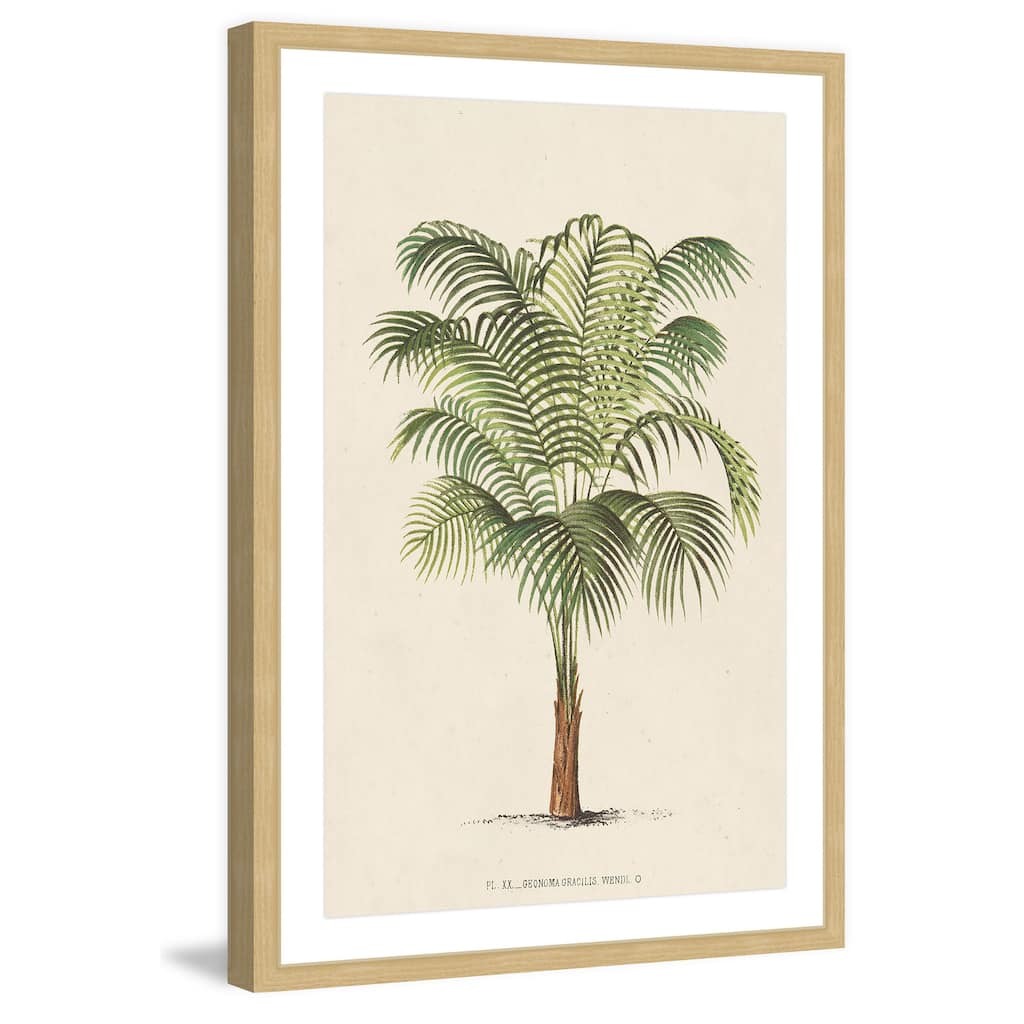 Marmont Hill - 'Les Palmiers II' Framed Painting Print - Multi-Color