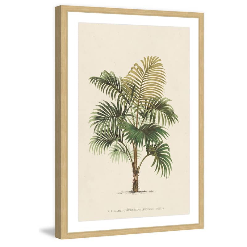 Marmont Hill - 'Les Palmiers IV' Framed Painting Print - Multi-Color