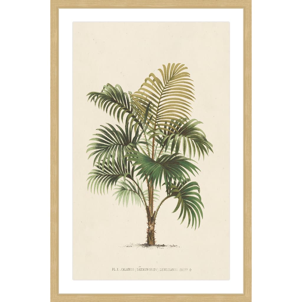 Marmont Hill - 'Les Palmiers IV' Framed Painting Print - Multi-Color