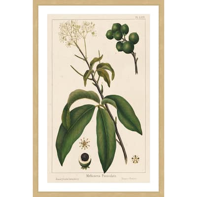 Marmont Hill - 'Honeyberry' Framed Painting Print - Multi-Color
