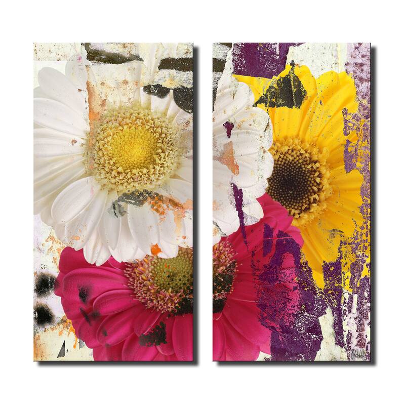 Ready2HangArt 'Painted Petals LXXXVI' 2-Piece Canvas Art Set