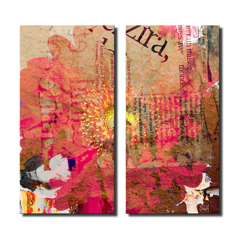 Ready2HangArt 'Painted Petals LXXXV' 2-Piece Canvas Wall Art Set
