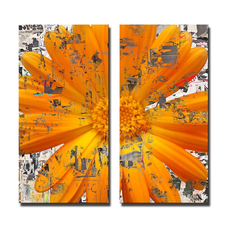 Ready2HangArt 'Painted Petals LXXVIII' 2-Piece Canvas Wall Art Set