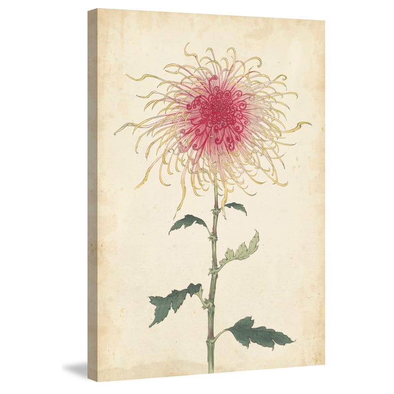 Marmont Hill - 'Chrysanthemum I' Painting Print on Wrapped Canvas - Multi-Color