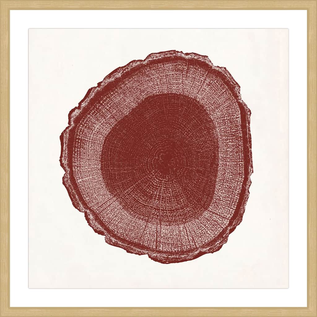 Marmont Hill - 'Tree Ring I' Framed Painting Print - Multi-Color