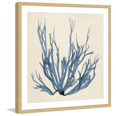 Marmont Hill - 'Coastal Seaweed I' Framed Painting Print - Multi-Color