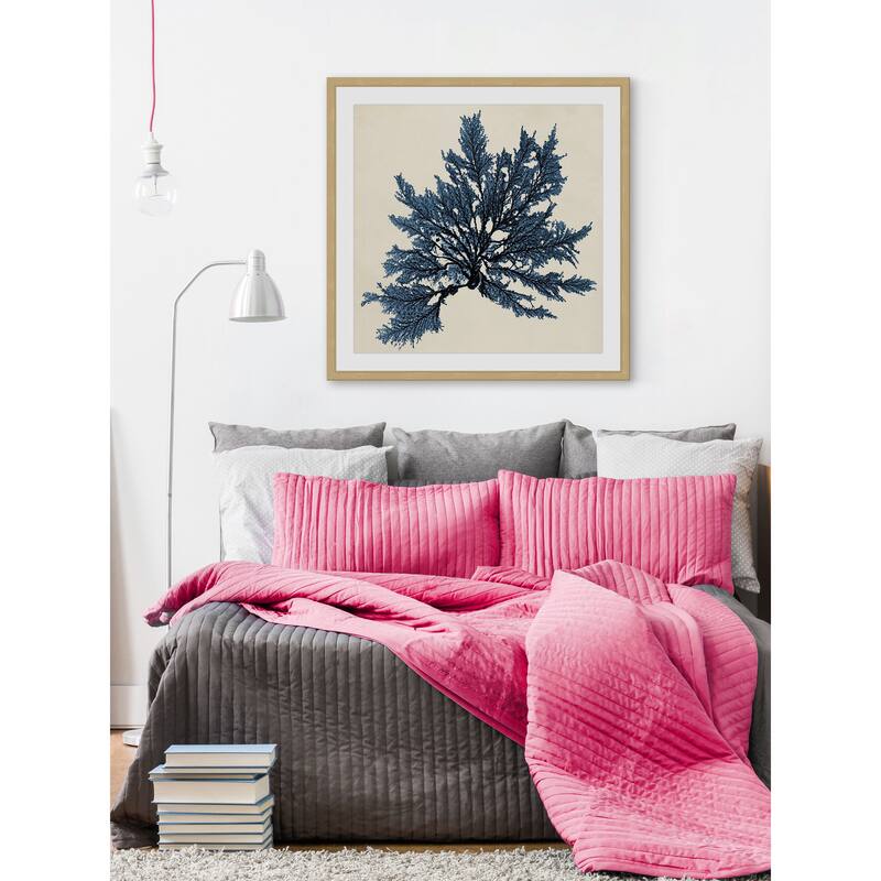 Marmont Hill - 'Coastal Seaweed IX' Framed Painting Print - Multi-Color
