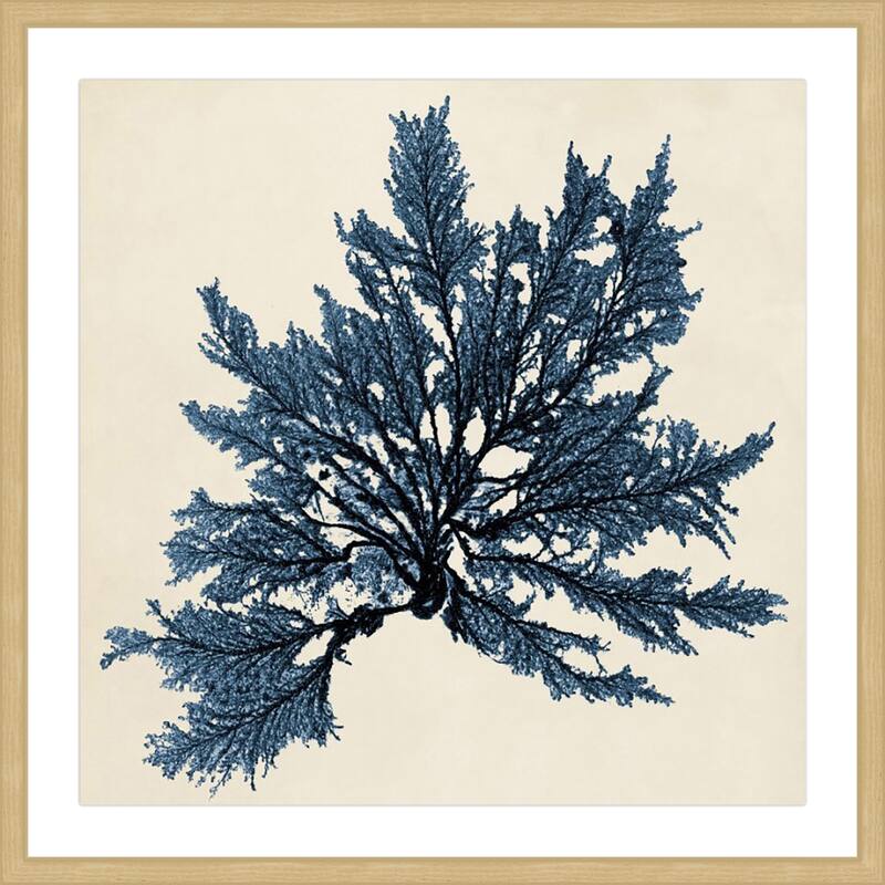 Marmont Hill - 'Coastal Seaweed IX' Framed Painting Print - Multi-Color