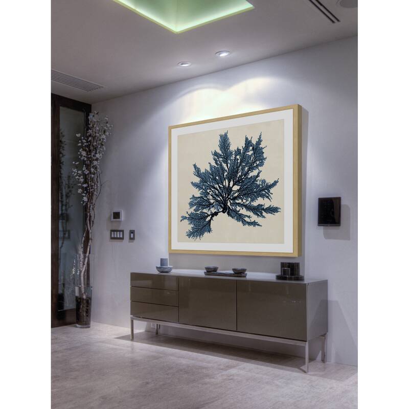 Marmont Hill - 'Coastal Seaweed IX' Framed Painting Print - Multi-Color