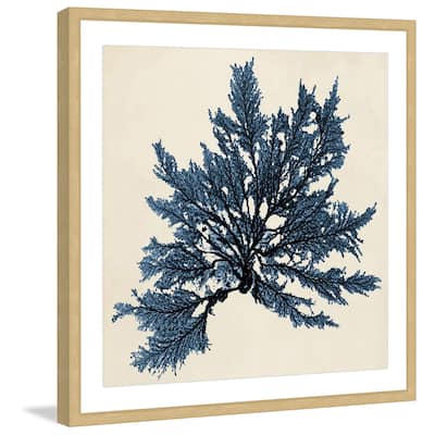 Marmont Hill - 'Coastal Seaweed IX' Framed Painting Print - Multi-Color