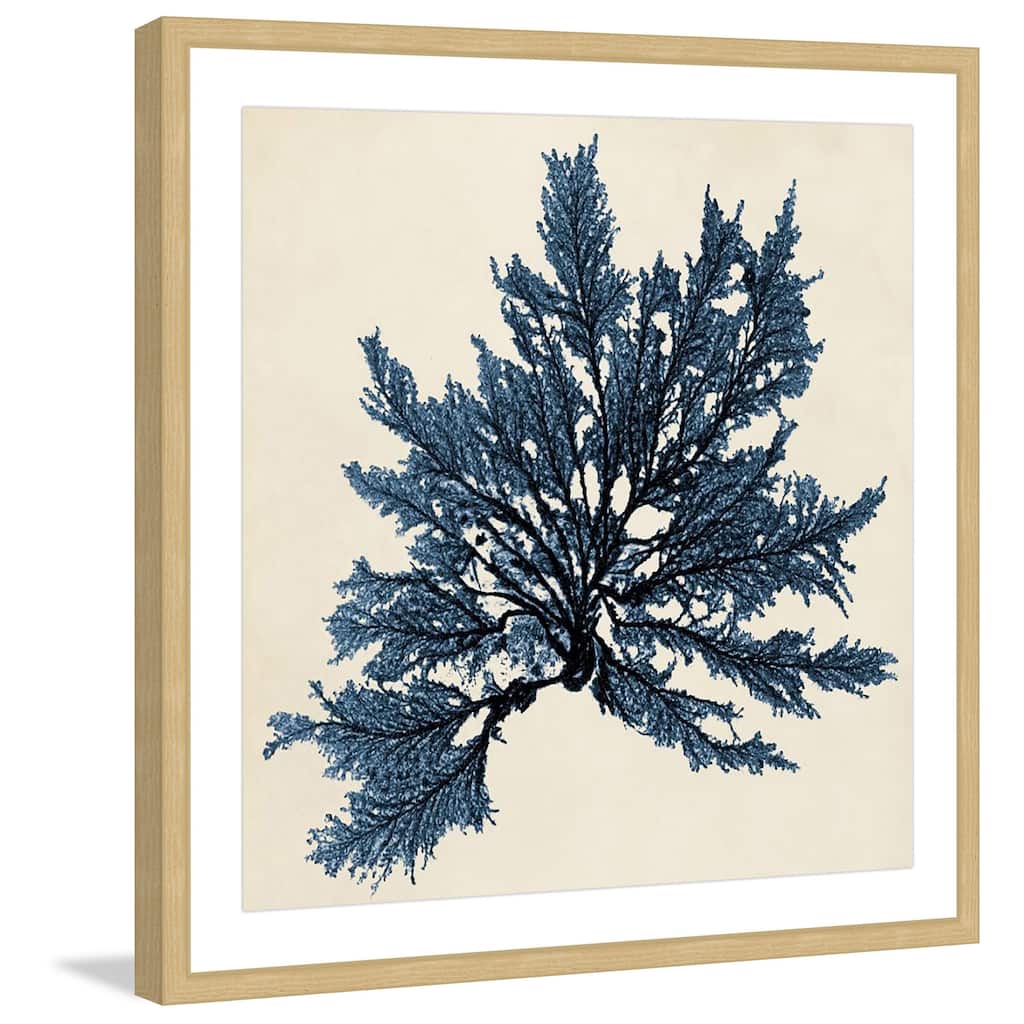 Marmont Hill - 'Coastal Seaweed IX' Framed Painting Print - Multi-Color