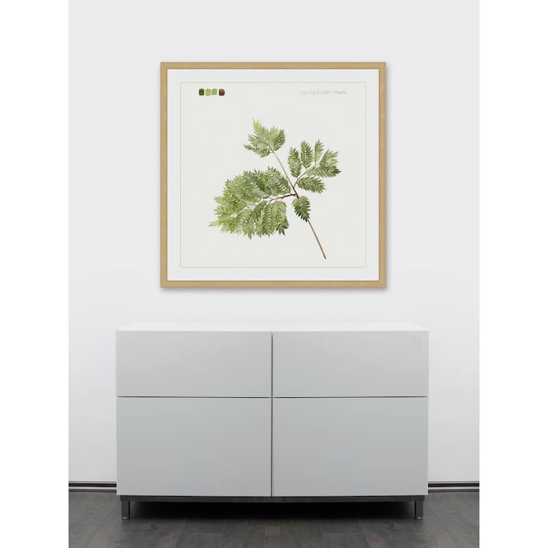 Marmont Hill - 'Leaf Study II' Framed Painting Print - Multi-Color