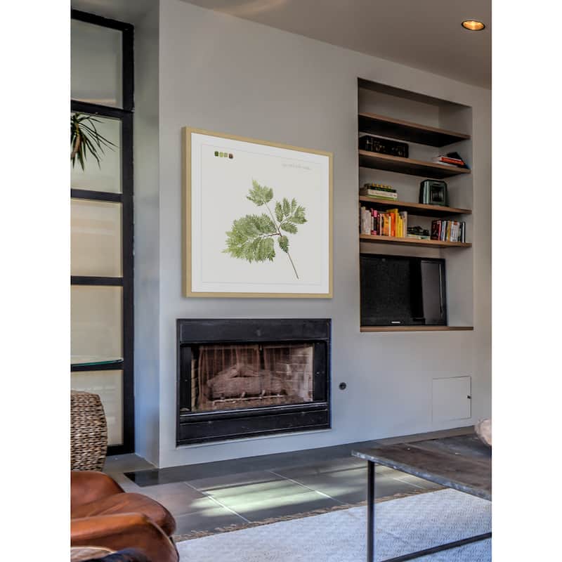 Marmont Hill - 'Leaf Study II' Framed Painting Print - Multi-Color