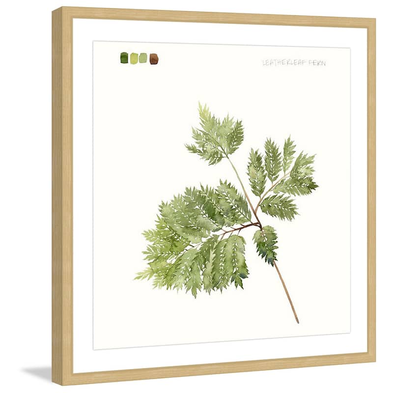 Marmont Hill - 'Leaf Study II' Framed Painting Print - Multi-Color