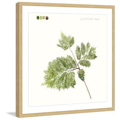 Marmont Hill - 'Leaf Study II' Framed Painting Print - Multi-Color