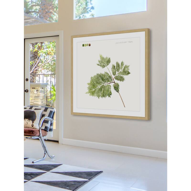 Marmont Hill - 'Leaf Study II' Framed Painting Print - Multi-Color