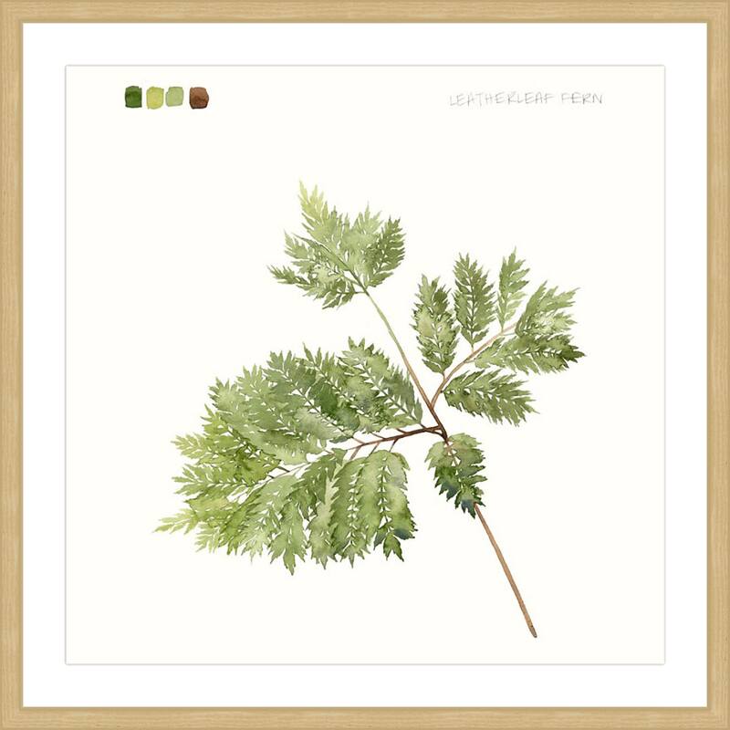 Marmont Hill - 'Leaf Study II' Framed Painting Print - Multi-Color
