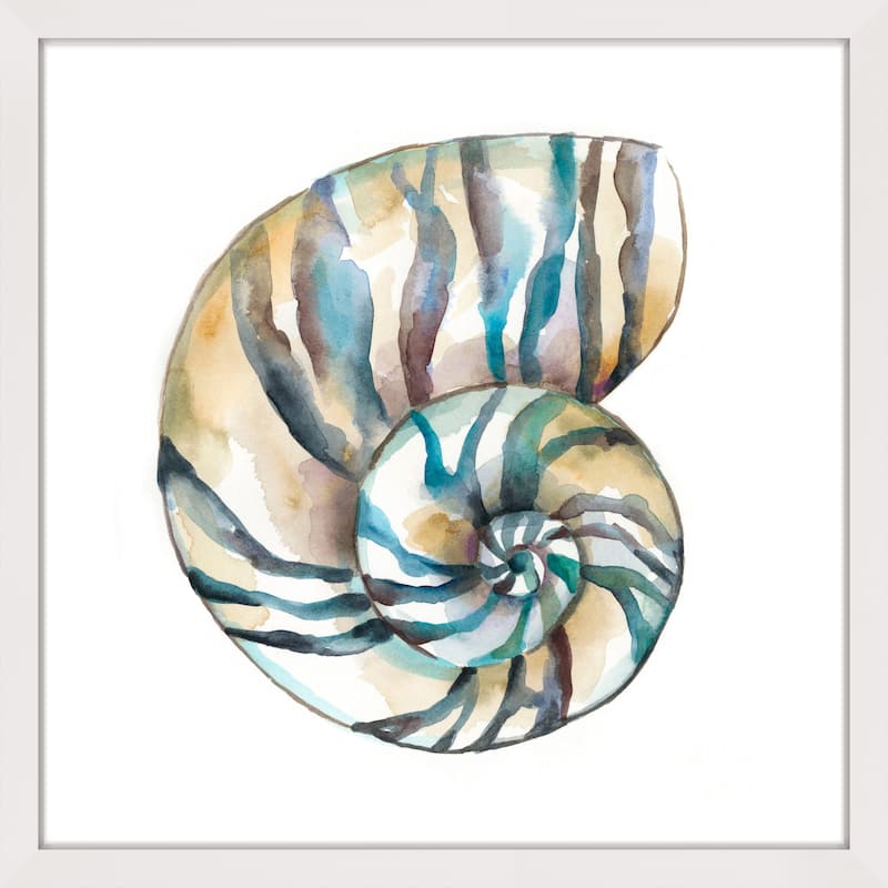 Marmont Hill - 'Aquarelle Shells II' Framed Painting Print