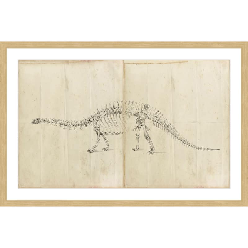 Marmont Hill - 'Dinosaur Study I' Framed Painting Print - Multi-Color