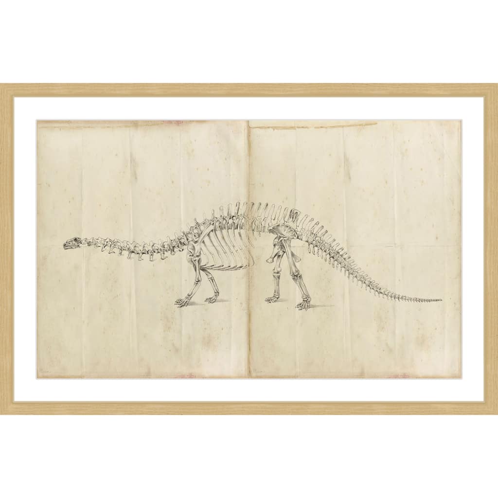 Marmont Hill - 'Dinosaur Study I' Framed Painting Print - Multi-Color