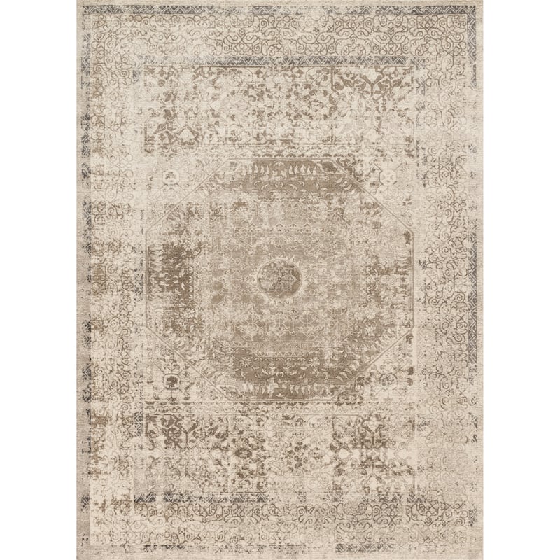 Alexander Home Kendrick Distressed Medallion Area Rug