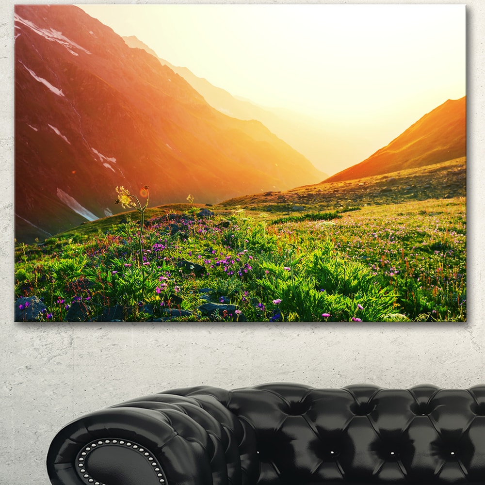 https://ak1.ostkcdn.com/images/products/13048683/Beautiful-Meadow-on-Sunny-Day-Oversized-Landscape-Canvas-Art-1f4e798f-650d-400a-ba8a-29a7a008b2f8_1000.jpg