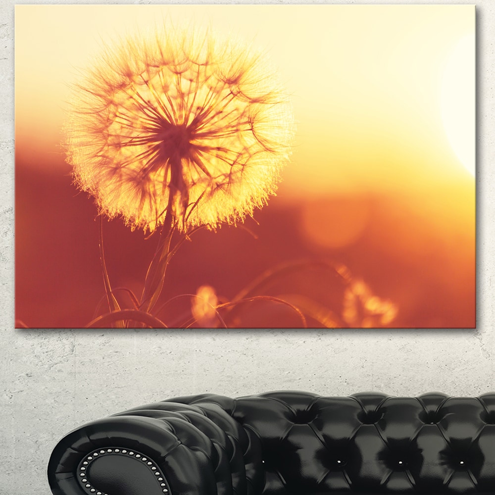 ARTCANVAS Dandelion Plant Flower Gray Black Brown Canvas factory Art Print