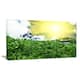 Sunny Meadow with Green Grass - Extra Large Landscape Canvas Art - Bed ...