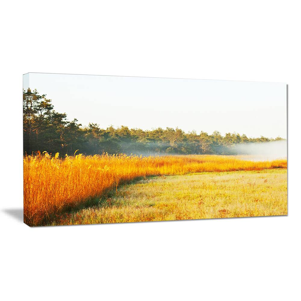 Amazing Yellow Mountain Meadow Extra Large Landscape Canvas Art Bed