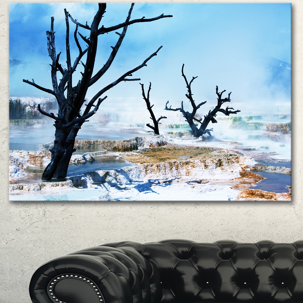 Beautiful Land with Large Dry Trees Extra Large Landscape Canvas Art  Blue Bed Bath  Beyond 13050443
