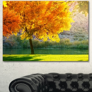 Beautiful Autumn Season In Forest - Extra Large Landscape Canvas Art ...