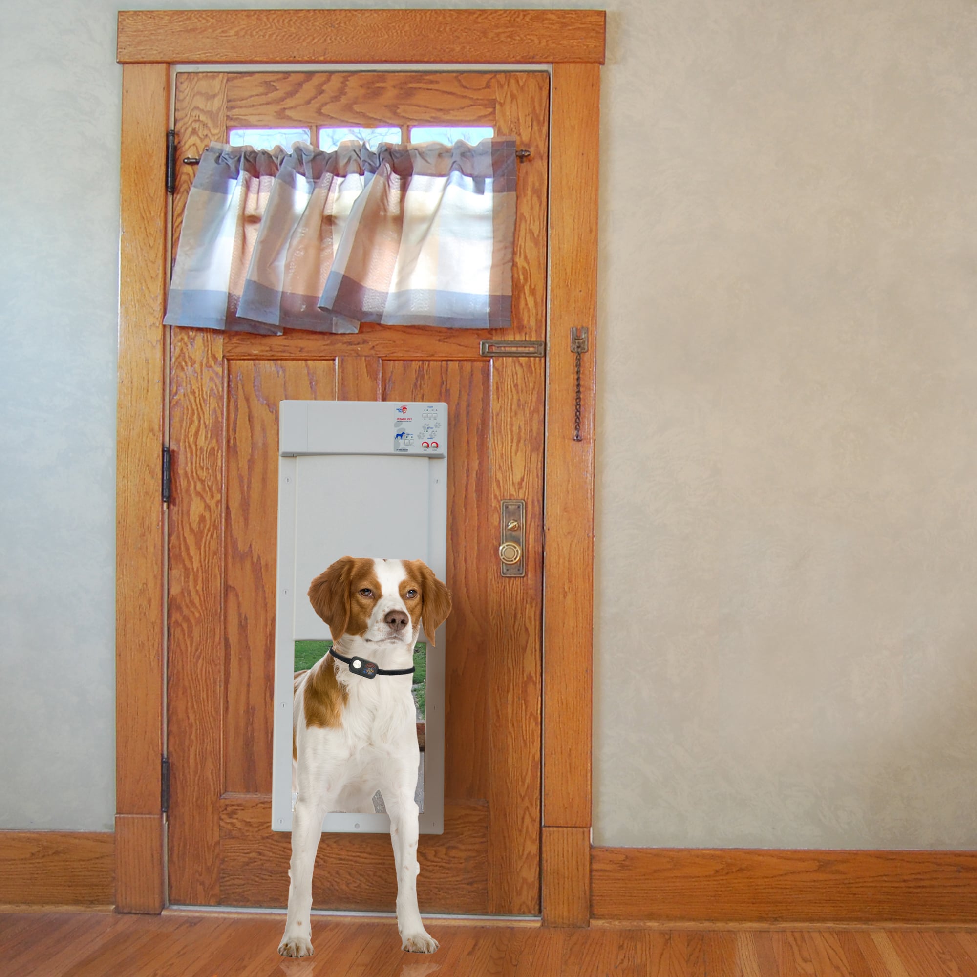 Power pet fully sales automatic pet door