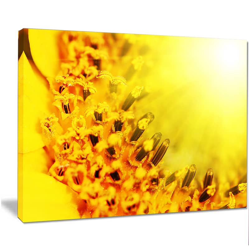 Bright Yellow Sunflower Close-Up - Floral Artwork Print on Canvas