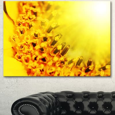 Bright Yellow Sunflower Close-Up - Floral Artwork Print on Canvas