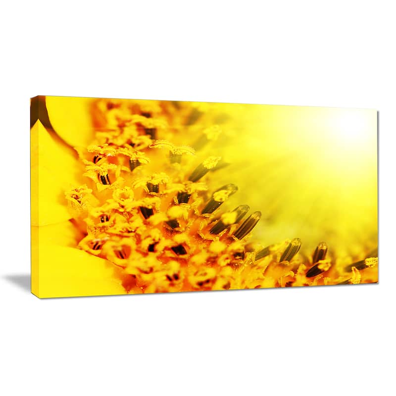 Bright Yellow Sunflower Close-Up - Floral Artwork Print on Canvas