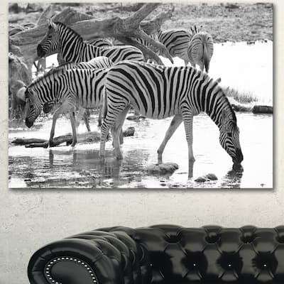 Designart "Herd of Zebra Black and White" African Canvas Artwork Print