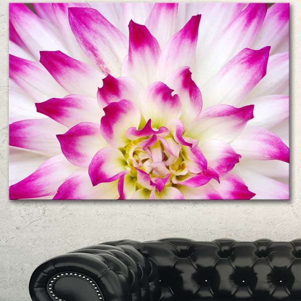 Floral Canvas Art - Bed Bath & Beyond