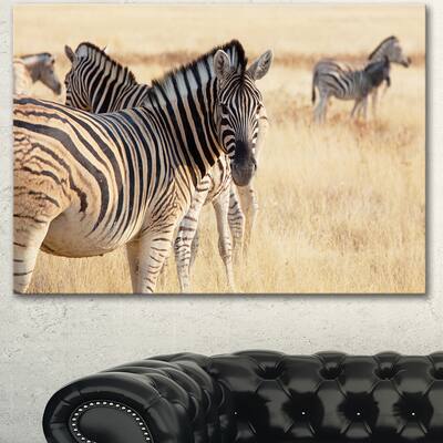 Designart "Zebra in Etosha Wandering in Grass" African Canvas Artwork Print
