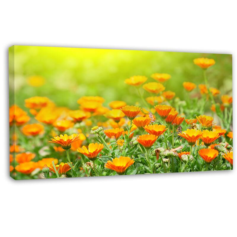 Designart "Yellow Marigold Flowers" Extra Large Floral Canvas Art Yellow Bed Bath & Beyond