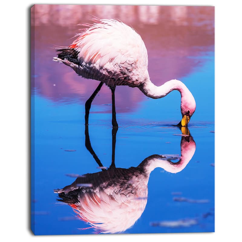 Designart "Beautiful Food Seeking Flamingo" Extra Large African Art Print